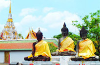 Nature Plays:สุราษฯ เขาสก 2วัน1คืน Nature Plays:สุราษฯ เขาสก 2วัน1คืน