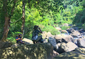 Nature Plays:สุราษฯ เขาสก 2วัน1คืน Nature Plays:สุราษฯ เขาสก 2วัน1คืน