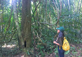 Nature Plays:สุราษฯ เขาสก 2วัน1คืน Nature Plays:สุราษฯ เขาสก 2วัน1คืน