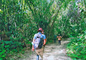 Nature Plays:สุราษฯ เขาสก 2วัน1คืน Nature Plays:สุราษฯ เขาสก 2วัน1คืน