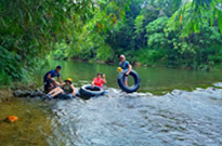Nature Plays:สุราษฯ เขาสก 2วัน1คืน Nature Plays:สุราษฯ เขาสก 2วัน1คืน