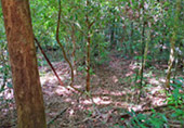Nature Plays:สุราษฯ เขาสก 2วัน1คืน Nature Plays:สุราษฯ เขาสก 2วัน1คืน