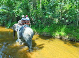 Nature Plays:สุราษฯ เขาสก 2วัน1คืน Nature Plays:สุราษฯ เขาสก 2วัน1คืน