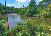 Nature Plays:สุราษฯ เขาสก 2วัน1คืน Nature Plays:สุราษฯ เขาสก 2วัน1คืน