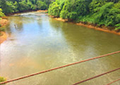 Nature Plays:สุราษฯ เขาสก 2วัน1คืน Nature Plays:สุราษฯ เขาสก 2วัน1คืน