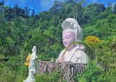 Nature Plays:สุราษฯ เขาสก 2วัน1คืน Nature Plays:สุราษฯ เขาสก 2วัน1คืน