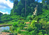 Nature Plays:สุราษฯ เขาสก 2วัน1คืน Nature Plays:สุราษฯ เขาสก 2วัน1คืน