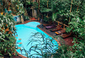 Nature Plays:สุราษฯ เขาสก 2วัน1คืน Nature Plays:สุราษฯ เขาสก 2วัน1คืน