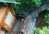 Nature Plays:สุราษฯ เขาสก 2วัน1คืน Nature Plays:สุราษฯ เขาสก 2วัน1คืน