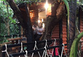 Nature Plays:สุราษฯ เขาสก 2วัน1คืน Nature Plays:สุราษฯ เขาสก 2วัน1คืน