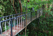 Nature Plays:สุราษฯ เขาสก 2วัน1คืน Nature Plays:สุราษฯ เขาสก 2วัน1คืน