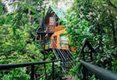 Nature Plays:สุราษฯ เขาสก 2วัน1คืน Nature Plays:สุราษฯ เขาสก 2วัน1คืน