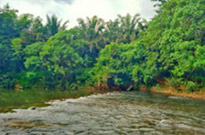 Nature Plays:สุราษฯ เขาสก 2วัน1คืน Nature Plays:สุราษฯ เขาสก 2วัน1คืน
