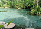 Nature Plays:สุราษฯ เขาสก 2วัน1คืน Nature Plays:สุราษฯ เขาสก 2วัน1คืน