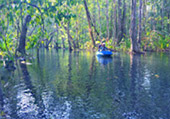 Nature Plays:สุราษฯ เขาสก 2วัน1คืน Nature Plays:สุราษฯ เขาสก 2วัน1คืน
