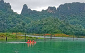 Rest Relax and Activity. 2 คืน 3 วัน สุดคุ้มสุราษฏร์ธานี Rest Relax and Activity. 2 คืน 3 วัน สุดคุ้มสุราษฏร์ธานี