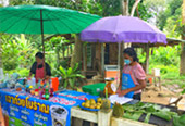 Things of South 3วัน2คืน สุราษ นคร Things of South 3วัน2คืน สุราษ นคร