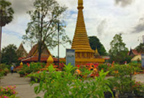 Things of South 3วัน2คืน สุราษ นคร Things of South 3วัน2คืน สุราษ นคร