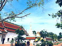 Things of South 3วัน2คืน สุราษ นคร Things of South 3วัน2คืน สุราษ นคร