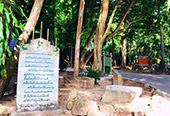 Things of South 3วัน2คืน สุราษ นคร Things of South 3วัน2คืน สุราษ นคร