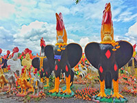 Things of South 3วัน2คืน สุราษ นคร Things of South 3วัน2คืน สุราษ นคร