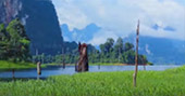 Tell No One. : 2 วัน 1 คืน ป่าต้นน้ำ จุดธรรมชาติสูงสุด เขื่อนเชี่ยวหลาน Tell No One. : 2 วัน 1 คืน ป่าต้นน้ำ จุดธรรมชาติสูงสุด เขื่อนเชี่ยวหลาน