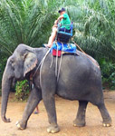 กรุ๊ปสุราษฎร์เขื่อนเชี่ยวหลานเขาสก