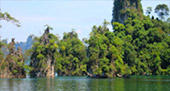 Best in Simple: สุราษฯ ดำน้ำหมู่เกาะชุมพร Best in Simple: สุราษฯ ดำน้ำหมู่เกาะชุมพร