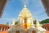 Best in Simple: สุราษฯ ดำน้ำหมู่เกาะชุมพร Best in Simple: สุราษฯ ดำน้ำหมู่เกาะชุมพร