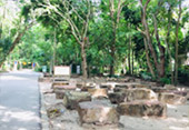 Best in Simple: สุราษฯ ดำน้ำหมู่เกาะชุมพร Best in Simple: สุราษฯ ดำน้ำหมู่เกาะชุมพร