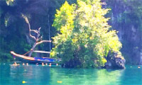 Surat Surin Nature Open Surat Surin Nature Open