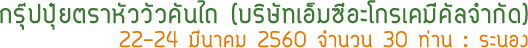 Building Team MCA Groupระนอง Building Team MCA Groupระนอง