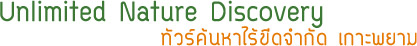 ทัวร์วันเดียวเกาะพยามUnlimited Nature Discovery ทัวร์วันเดียวเกาะพยามUnlimited Nature Discovery