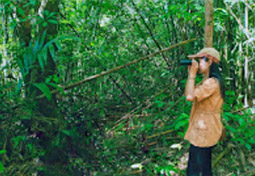 Exotic Voyage: อุ้มผาง - ทีลอซู Exotic Voyage: อุ้มผาง - ทีลอซู