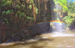 King of Waterfall : น้ำตกน้ำ ทีลอซู King of Waterfall : น้ำตกน้ำ ทีลอซู