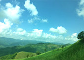 The Hills : เชียงใหม่ เชียงราย The Hills : เชียงใหม่ เชียงราย