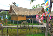 ตรัง: Coral and Lotus ตรัง: Coral and Lotus