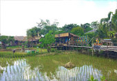 ตรัง: Coral and Lotus ตรัง: Coral and Lotus