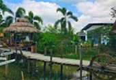 ตรัง: Coral and Lotus ตรัง: Coral and Lotus