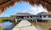 ตรัง: Coral and Lotus ตรัง: Coral and Lotus