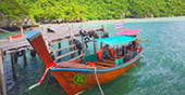 ตรัง: Coral and Lotus ตรัง: Coral and Lotus
