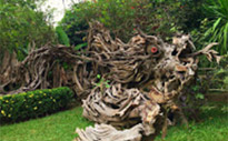 New Andaman เกาะกระดาน เกาะบุโหลน New Andaman เกาะกระดาน เกาะบุโหลน