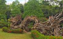 New Andaman เกาะกระดาน เกาะบุโหลน New Andaman เกาะกระดาน เกาะบุโหลน
