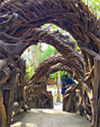 New Andaman เกาะกระดาน เกาะบุโหลน New Andaman เกาะกระดาน เกาะบุโหลน