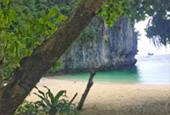 The Link: ตรัง กระบี่ เชี่ยวหลาน 4 วัน 3 จังหวัด The Link: ตรัง กระบี่ เชี่ยวหลาน 4 วัน 3 จังหวัด