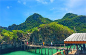 Twin Provinces 4วัน3คืนชุมพรสุราษฎร์ Twin Provinces 4วัน3คืนชุมพรสุราษฎร์