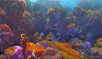 Discovery to Undiscovered Mergui Discovery to Undiscovered Mergui