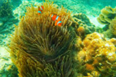 Discovery to Undiscovered Mergui Discovery to Undiscovered Mergui