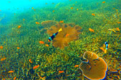 Discovery to Undiscovered Mergui Discovery to Undiscovered Mergui