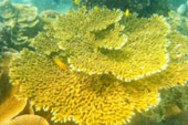 Discovery to Undiscovered Mergui Discovery to Undiscovered Mergui